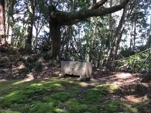 大宮神社の自然