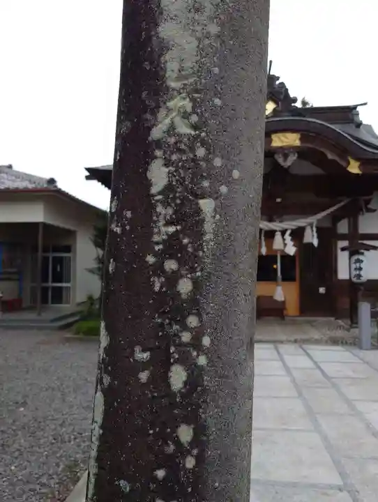 東向八幡宮(群馬県)