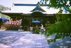 達磨寺(群馬県)