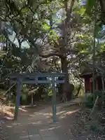 熊野神社(千葉県)