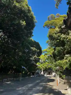 府八幡宮の{uncategorized: "未分類", other: "その他", undefined: "問題あり", building: "その他建物", grave: "お墓", sacred_gate: "鳥居", guardian: "狛犬", statue: "像", buddha: "仏像", history: "歴史", nature: "自然", garden: "庭園", animal: "動物", pagoda: "塔", temizu: "手水舎", mountain_gate: "山門・神門", sanctuary: "本殿・本堂", subordinate: "末社・摂社", art: "芸術", scenery: "景色", jizo: "地蔵", ema: "絵馬", goshuin: "御朱印", omikuji: "おみくじ", items: "授与品その他", amulet: "お守り", goshuincho: "御朱印帳", eats: "食事", festival: "お祭り", votive_dance: "神楽", shichigosan: "七五三参", wedding: "結婚式", experience: "体験その他", initially: "初詣", around: "周辺", anti_infection: "感染症対策"}