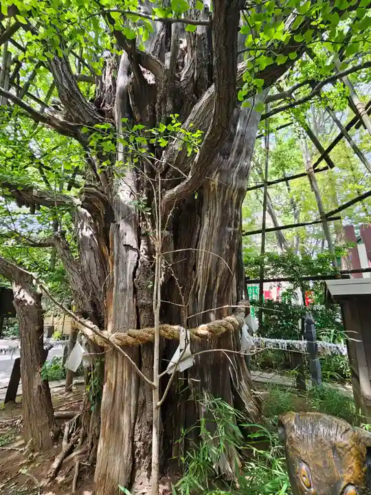稲毛神社(神奈川県)