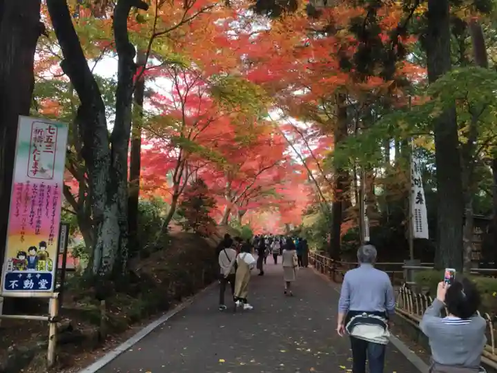 中尊寺本堂の自然