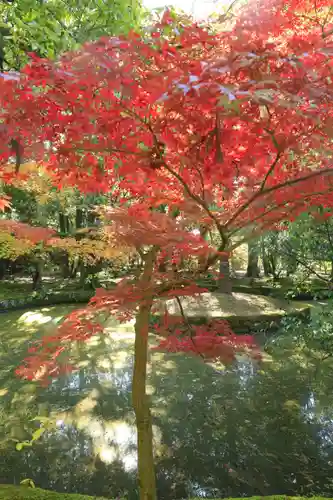 唐招提寺(奈良県)
