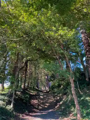 大井神社（太郎神社）のその他建物