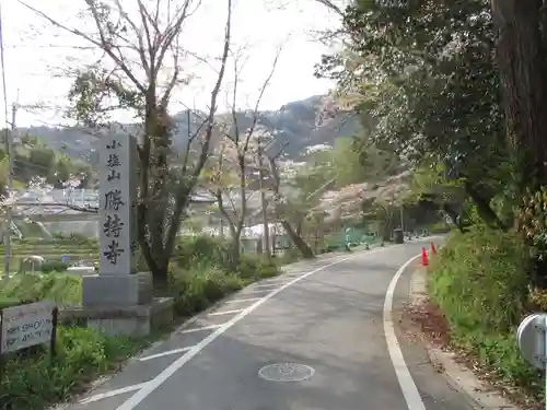 勝持寺（花の寺）の周辺