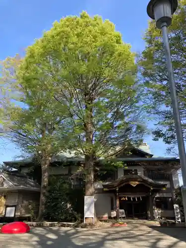 前鳥神社(神奈川県)