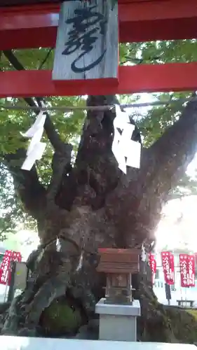 秩父今宮神社の自然