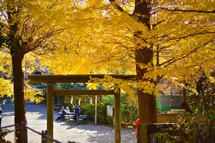 葛原岡神社(神奈川県)
