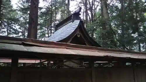 鹿島神社の本殿・本堂