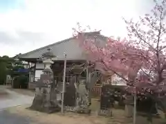 見徳寺(千葉県)