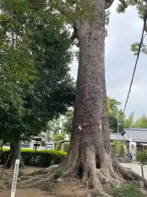 健軍神社(熊本県)