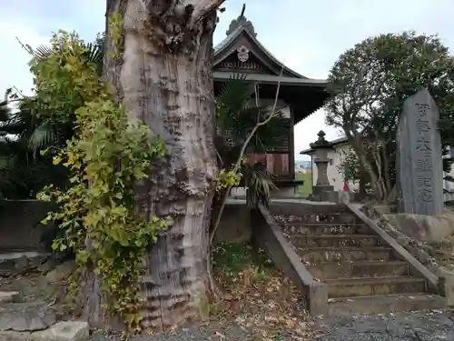 香取神社の自然