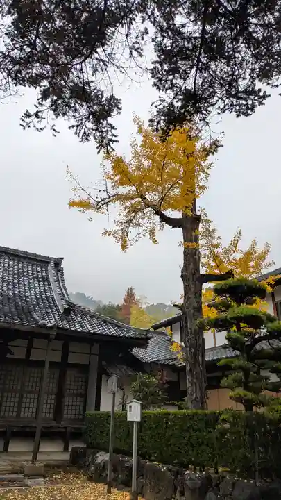 大念寺(京都府)