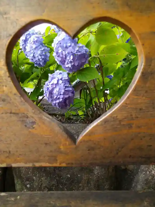柳谷観音 楊谷寺(京都府)