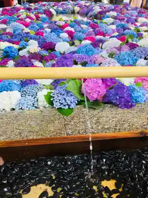 太宰府天満宮の手水舎