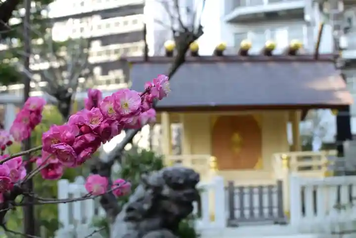 蒲田八幡神社の自然