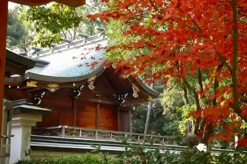 辛國神社の本殿