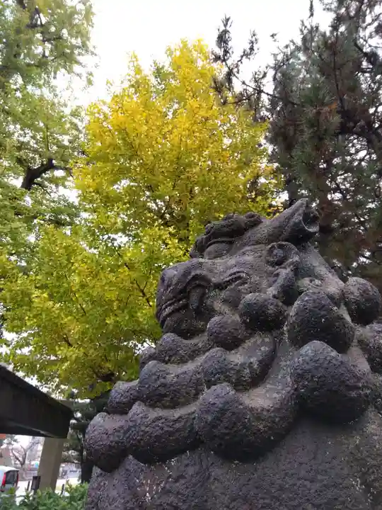 福井神社(福井県)