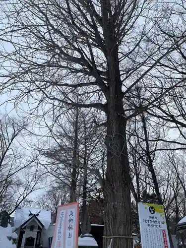 星置神社(北海道)