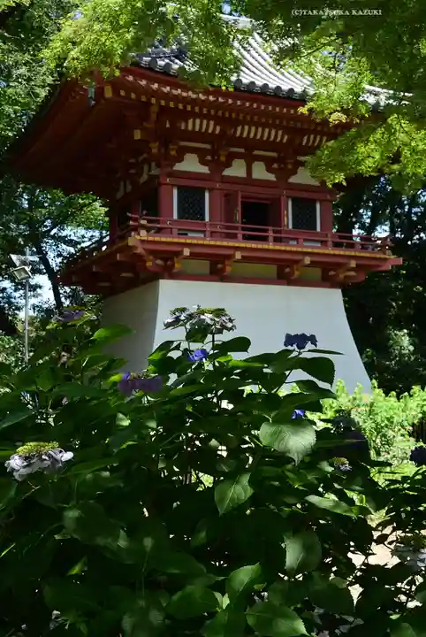 瀧泉寺(目黒不動尊)(東京都)