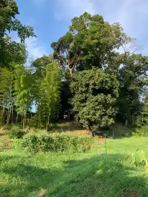 天満宮(千葉県)