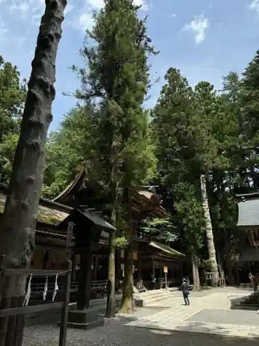 諏訪大社下社春宮の本殿・本堂