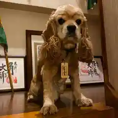 下野 星宮神社の動物