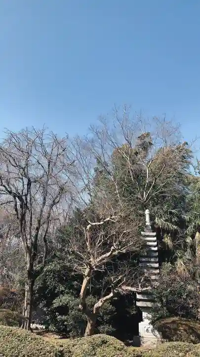 南蔵院(東京都)