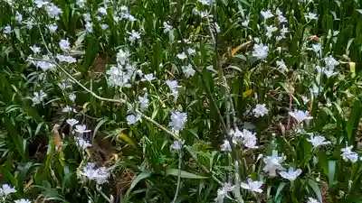 意太神社(滋賀県)