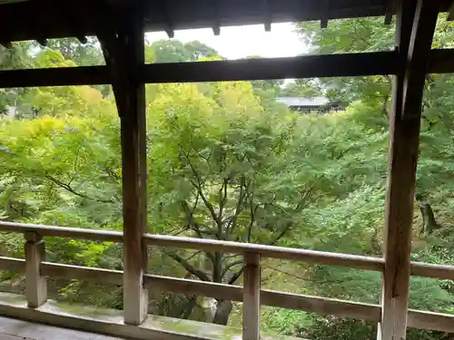 龍吟庵（竜吟庵）(京都府)