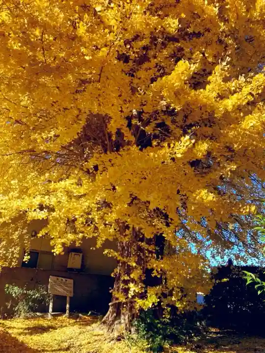 別雷皇太神(茨城県)