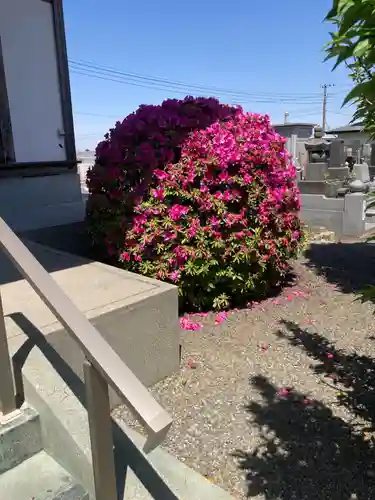 明珠院(神奈川県)