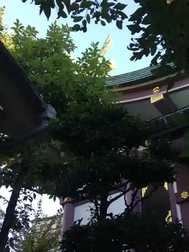 高木神社の本殿・本堂