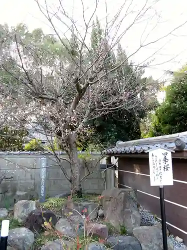 太閤山常泉寺の自然