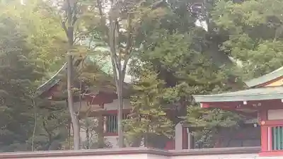 富岡八幡宮(東京都)