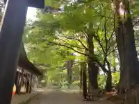 中尊寺(岩手県)