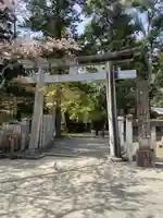 手向山八幡宮(奈良県)