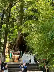 來宮神社(静岡県)