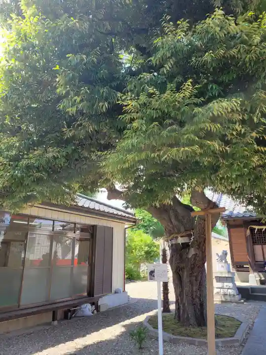 雷神社(東京都)