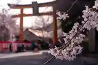 平野神社(京都府)