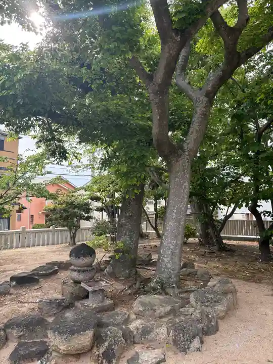 舞子六神社/まいこむの宮の{uncategorized: "未分類", other: "その他", undefined: "問題あり", building: "その他建物", grave: "お墓", sacred_gate: "鳥居", guardian: "狛犬", statue: "像", buddha: "仏像", history: "歴史", nature: "自然", garden: "庭園", animal: "動物", pagoda: "塔", temizu: "手水舎", mountain_gate: "山門・神門", sanctuary: "本殿・本堂", subordinate: "末社・摂社", art: "芸術", scenery: "景色", jizo: "地蔵", ema: "絵馬", goshuin: "御朱印", omikuji: "おみくじ", items: "授与品その他", amulet: "お守り", goshuincho: "御朱印帳", eats: "食事", festival: "お祭り", votive_dance: "神楽", shichigosan: "七五三参", wedding: "結婚式", experience: "体験その他", initially: "初詣", around: "周辺", anti_infection: "感染症対策"}