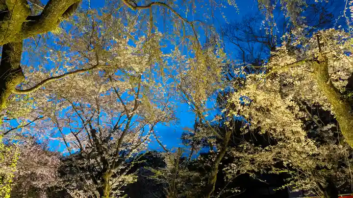平野神社(京都府)