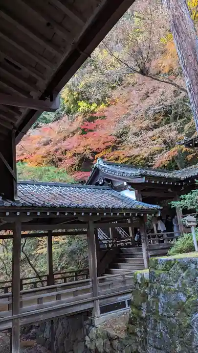 禅林寺(永観堂)(京都府)