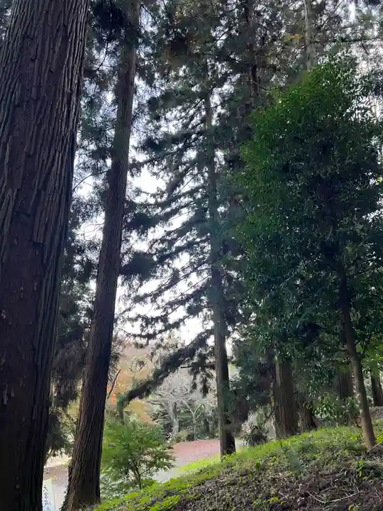大宮温泉神社(栃木県)