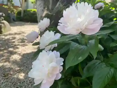 美奈宜神社(福岡県)