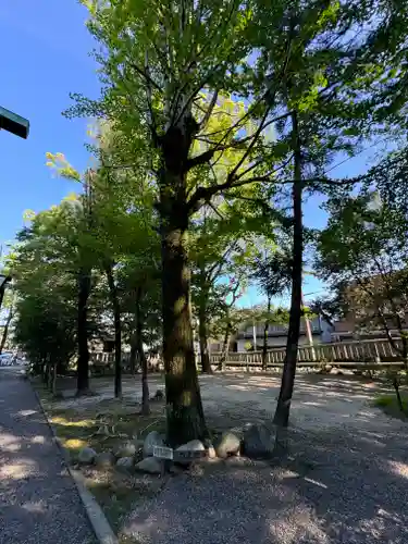 若宮神明社(愛知県)