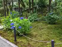 一條殿 新善光寺(京都府)