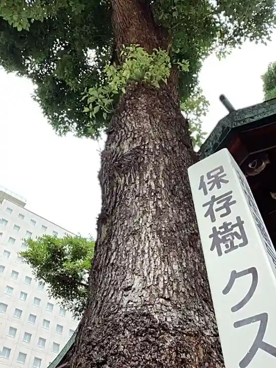 金山神社の自然