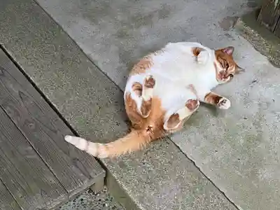 唐澤山神社(栃木県)